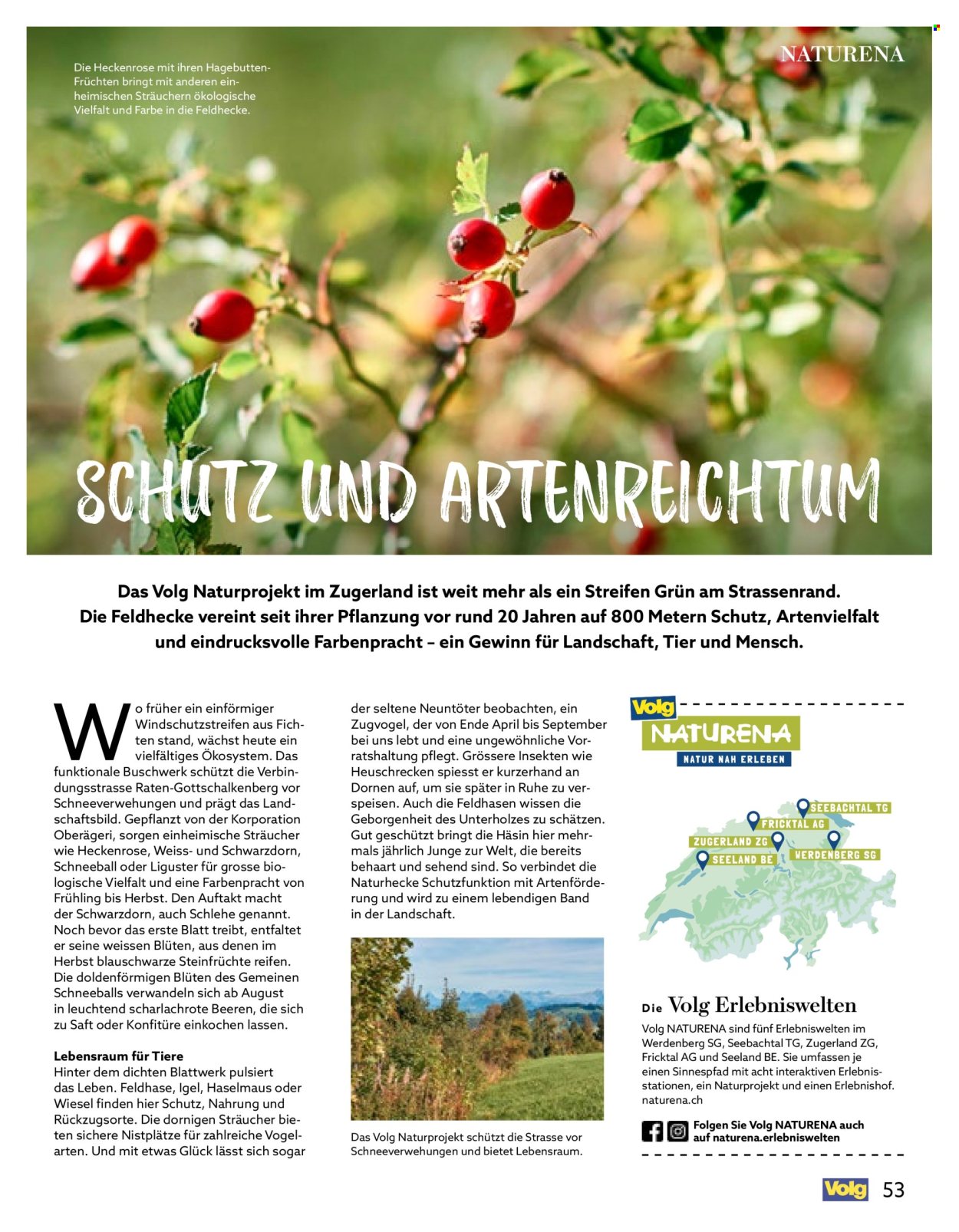 Catalogue Volg - 1.7.2026 - 31.7.2026. Page 53. Page 53