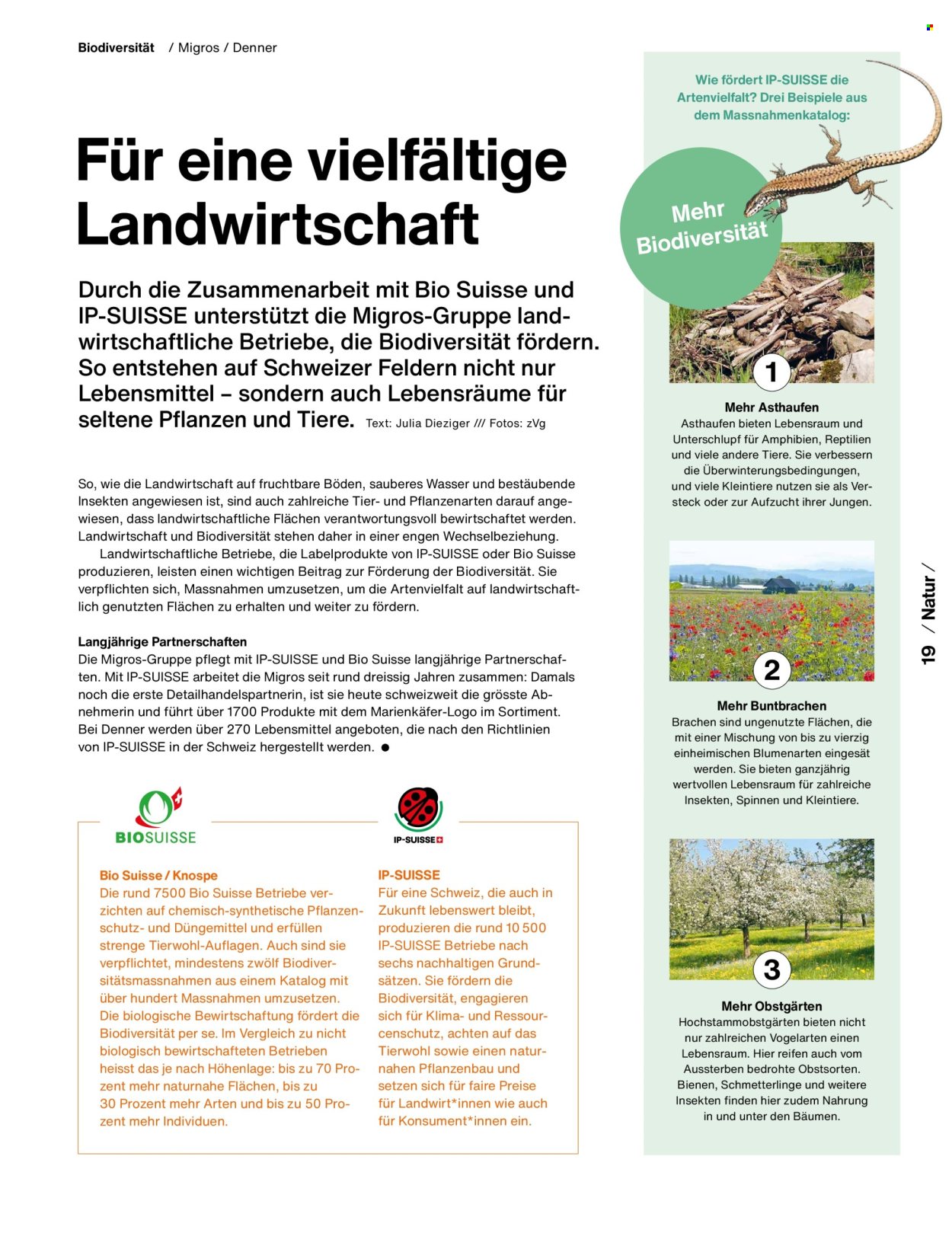 Catalogue Migros. Page 21. Page 21