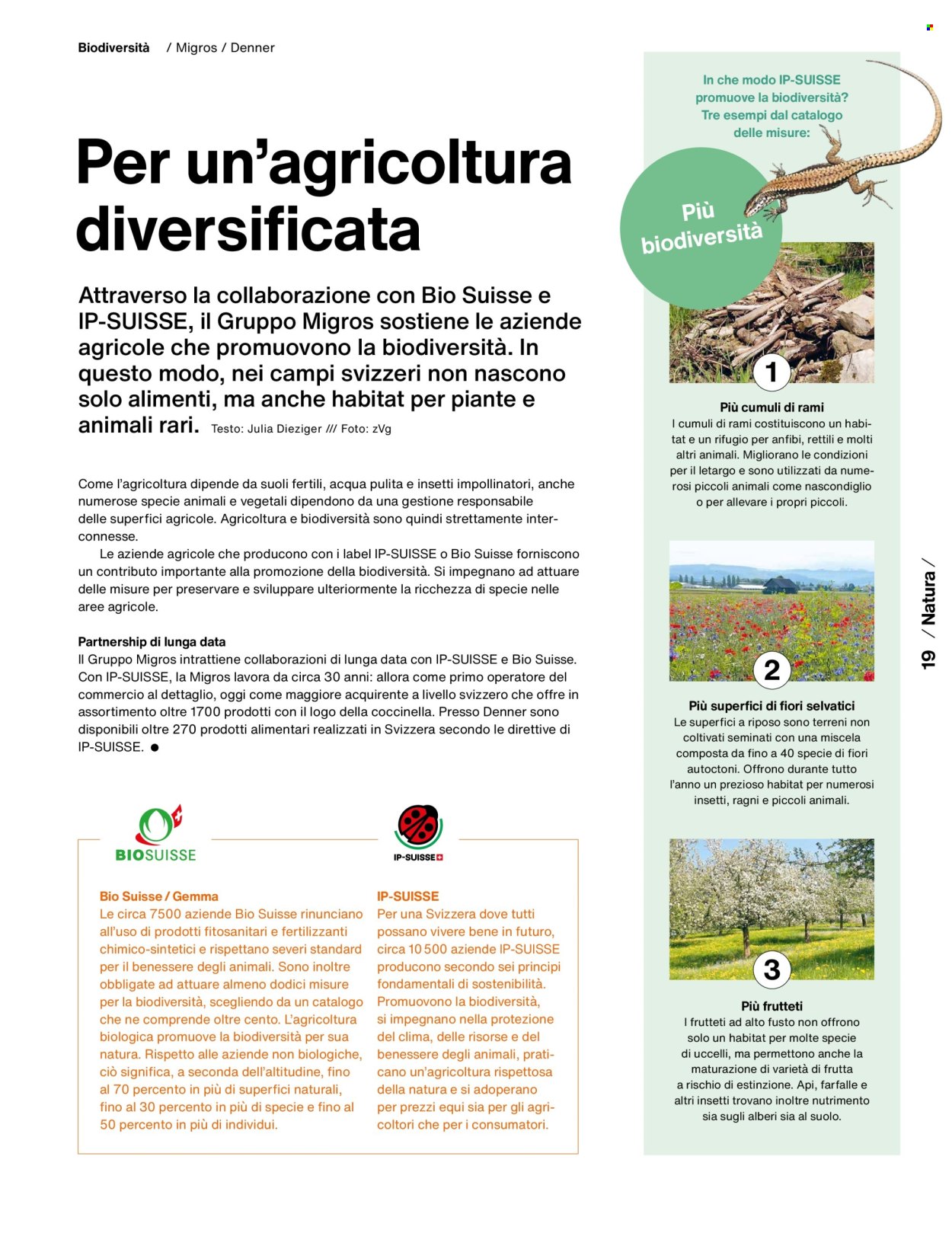 Catalogue Migros. Page 21. Page 21