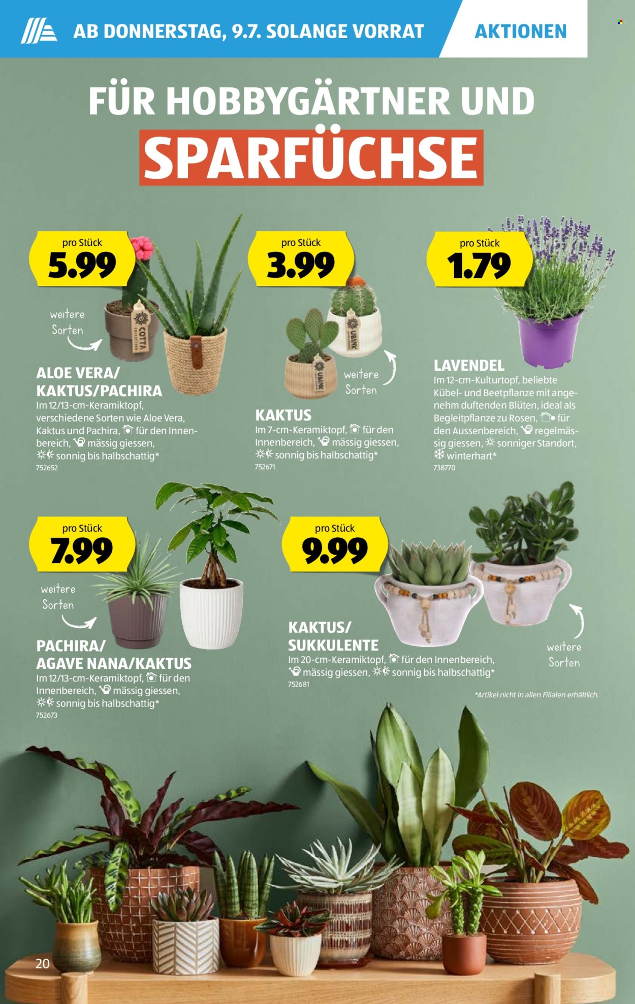 Catalogue Aldi - 9.7.2026 - 15.7.2026. Page 20. Page 20