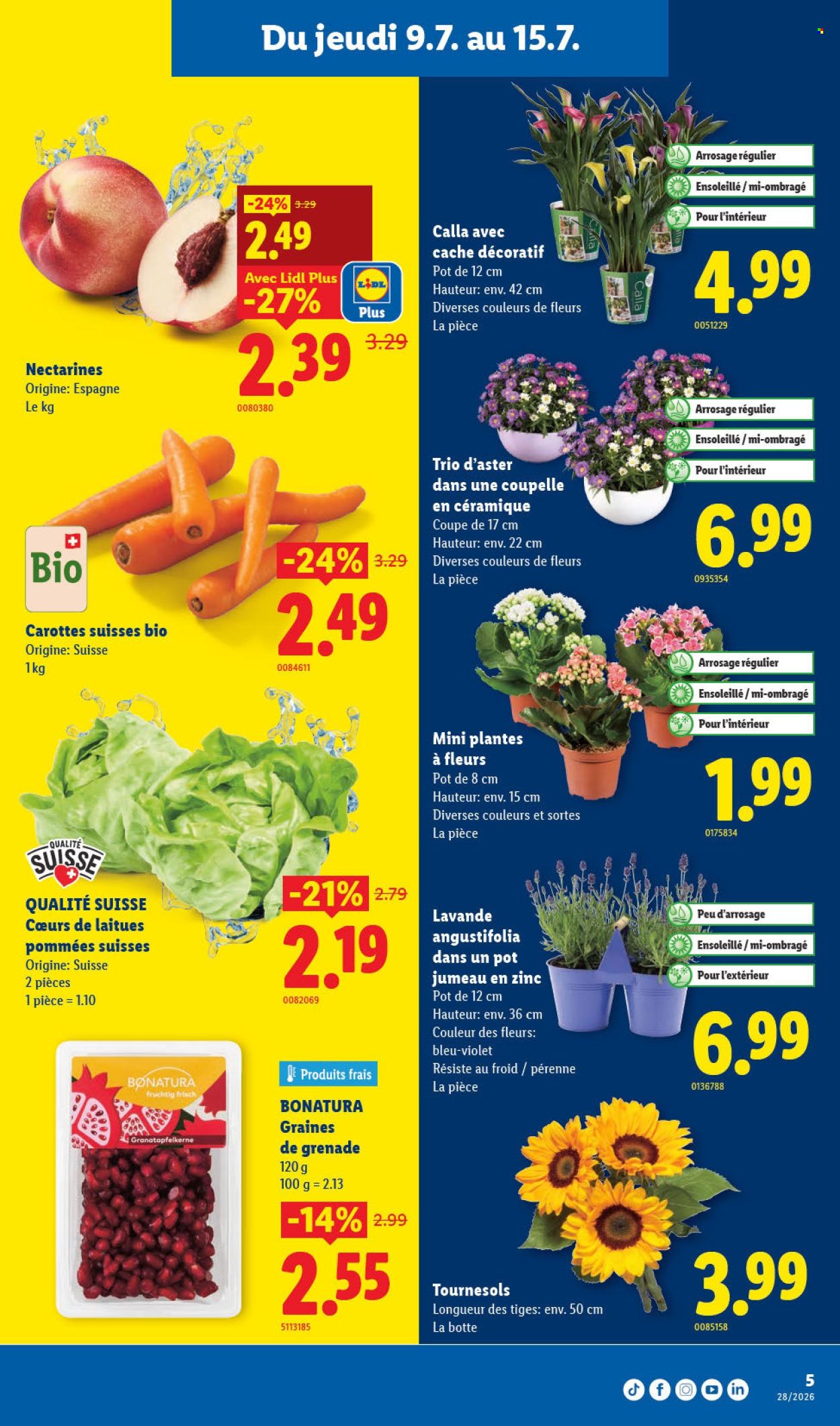 Catalogue Lidl - 9.7.2026 - 15.7.2026. Page 5. Page 5