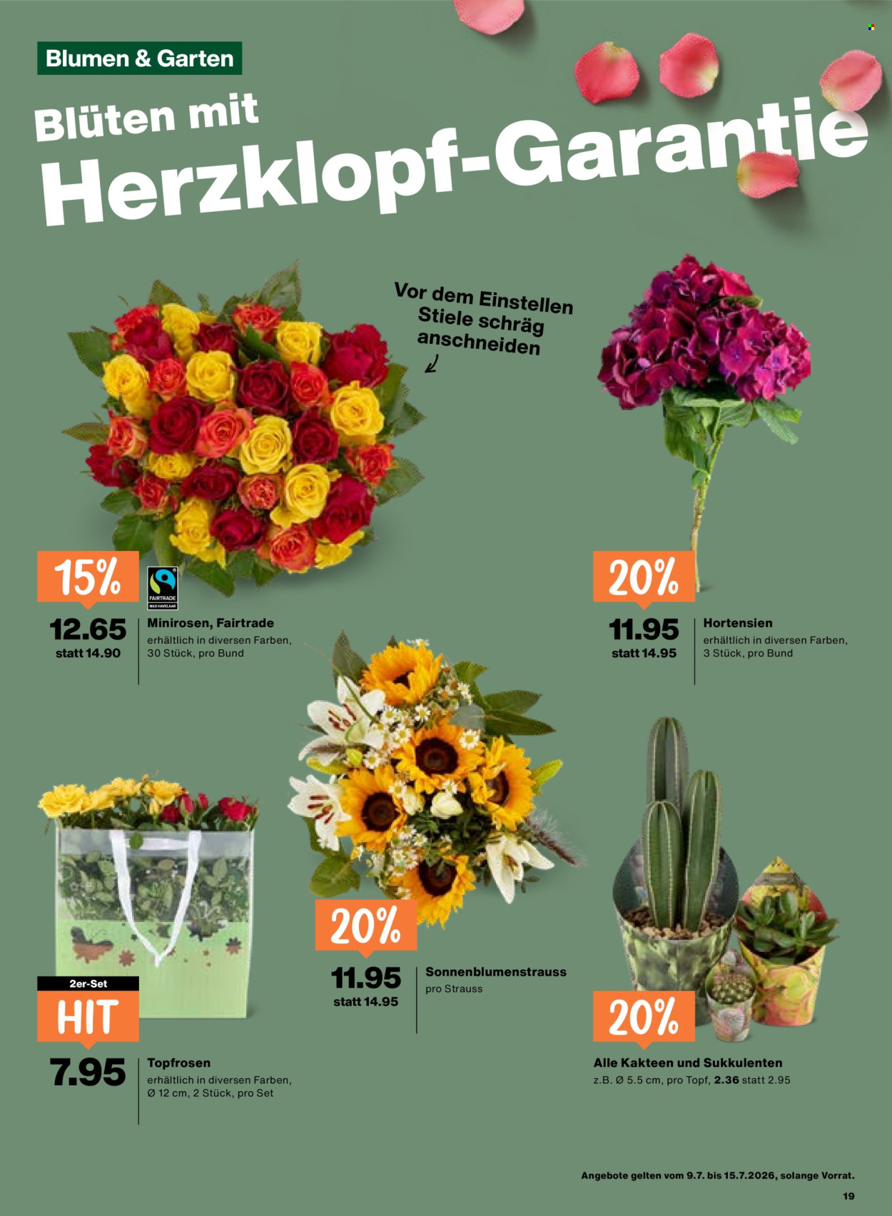 Catalogue Migros - 9.7.2026 - 15.7.2026. Page 19. Page 19