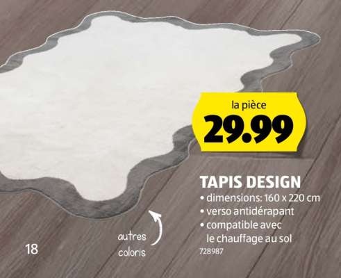 TAPIS DESIGN