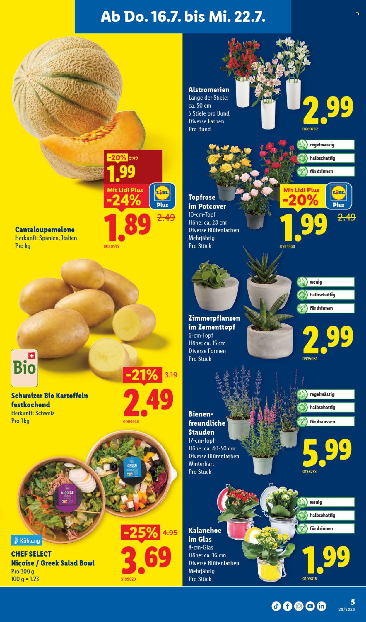 Catalogue Lidl - 16.7.2026 - 22.7.2026. Page 5. Page 5