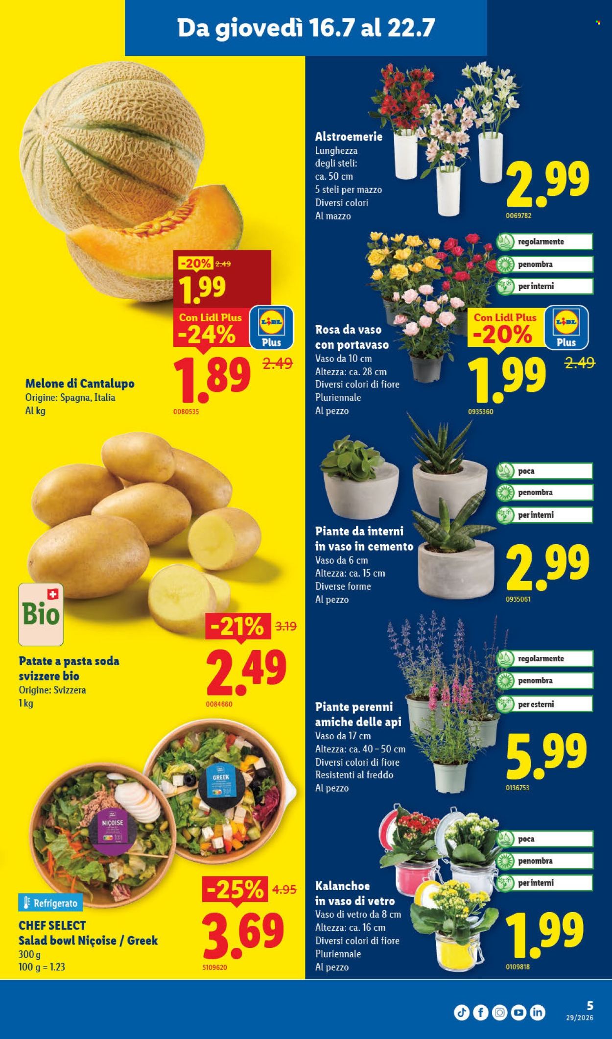 Catalogue Lidl - 16.7.2026 - 22.7.2026. Page 5. Page 5