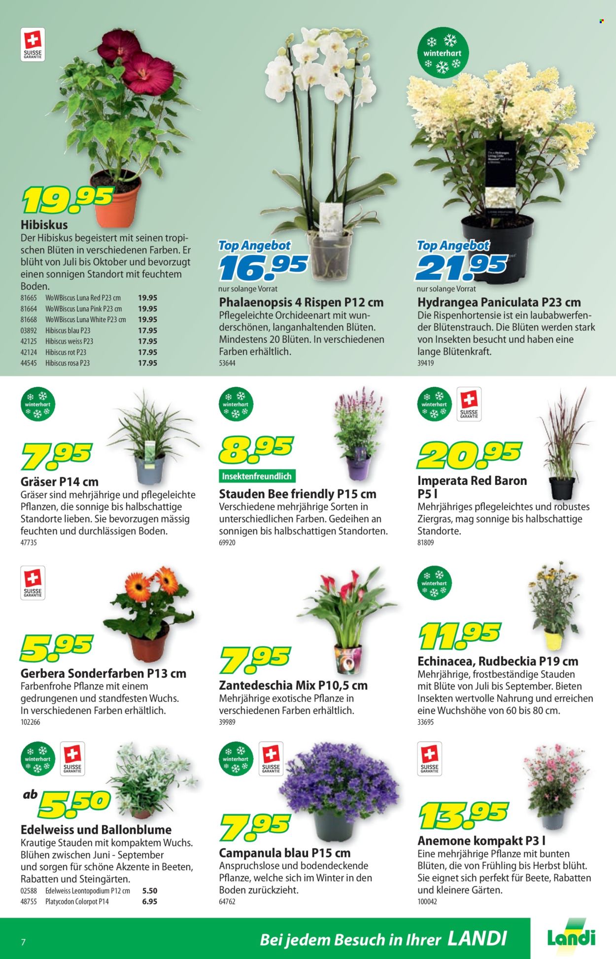 Catalogue Landi - 20.7.2026 - 2.8.2026. Page 11. Page 11