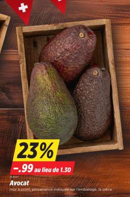 Avocat