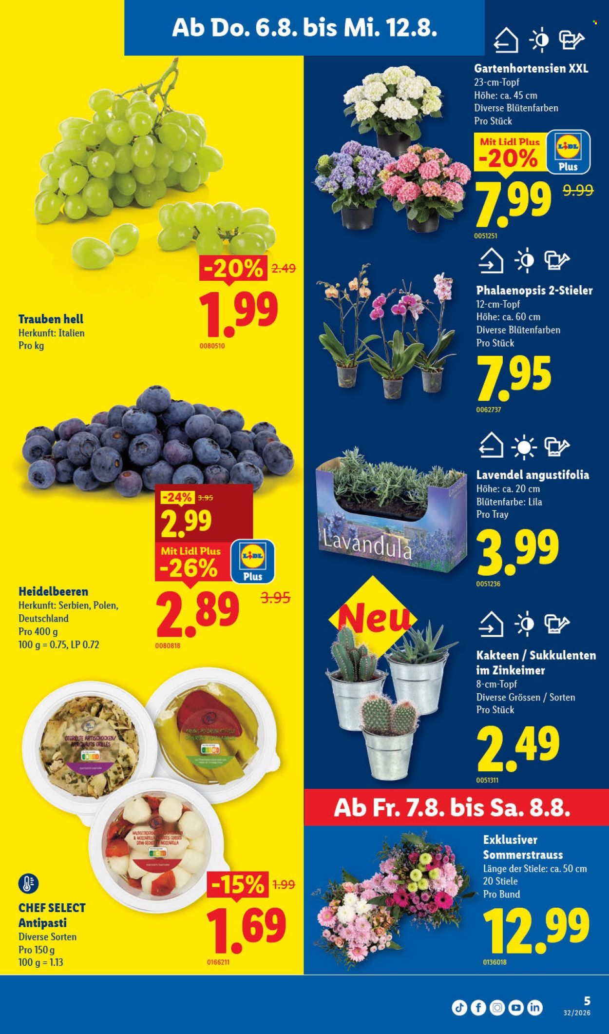 Catalogue Lidl - 6.8.2026 - 12.8.2026. Page 5. Page 5