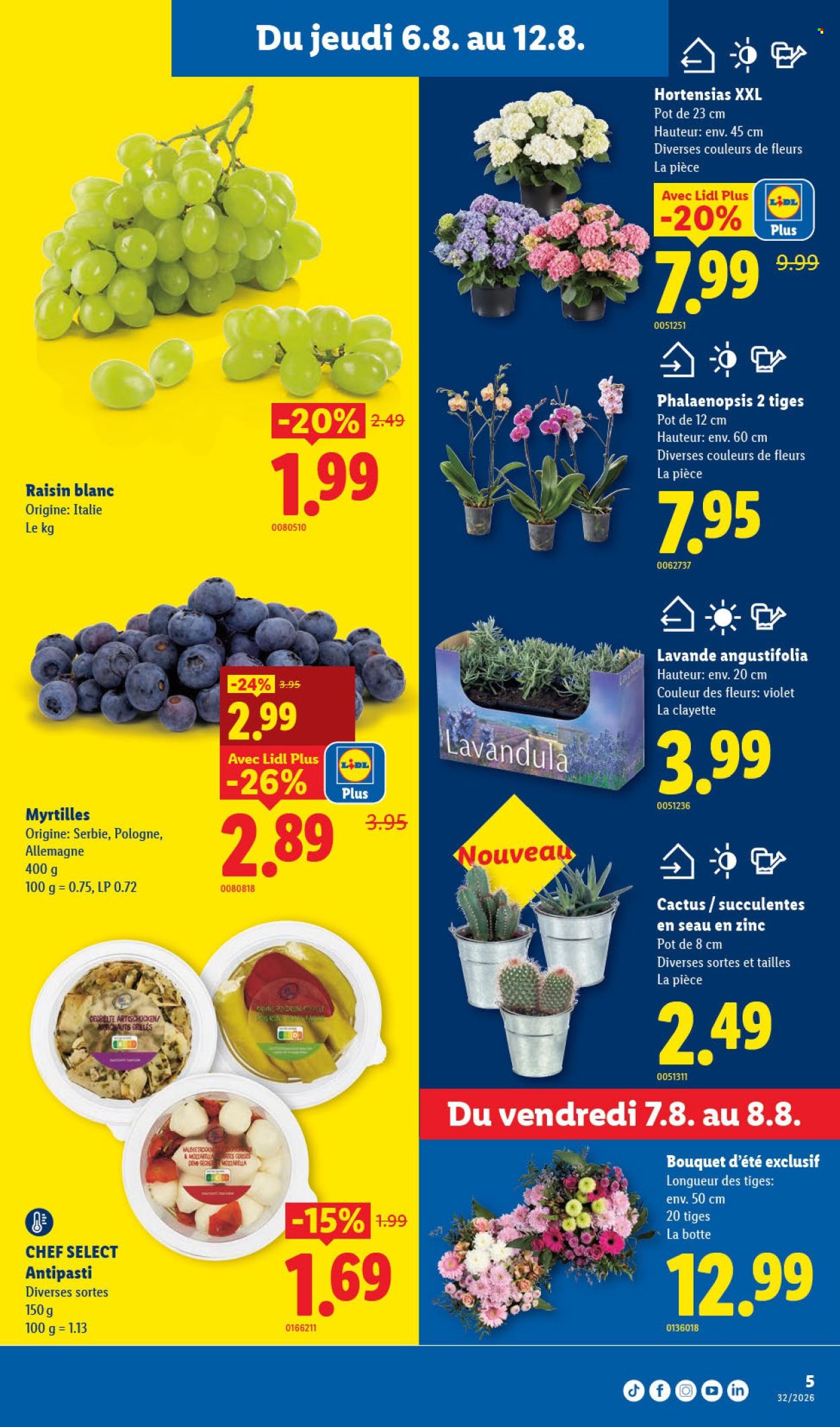 Catalogue Lidl - 6.8.2026 - 12.8.2026. Page 5. Page 5