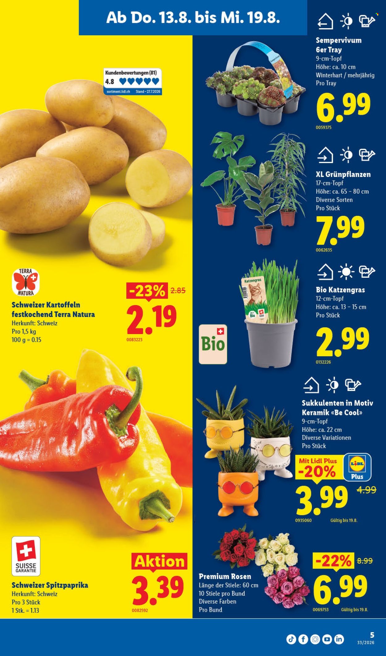 Catalogue Lidl - 13.8.2026 - 19.8.2026. Page 9. Page 9