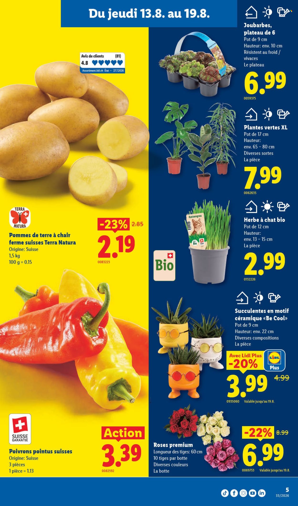 Catalogue Lidl - 13.8.2026 - 19.8.2026. Page 9. Page 9
