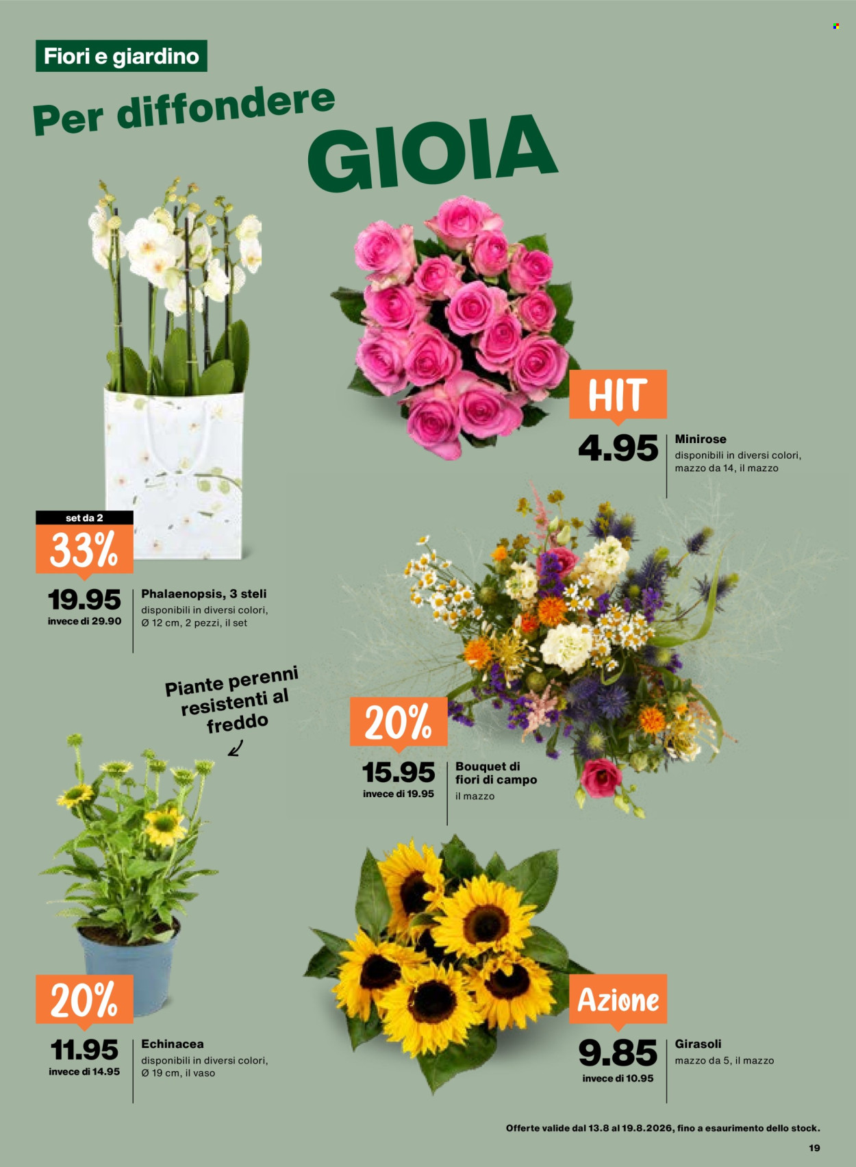Catalogue Migros - 13.8.2026 - 19.8.2026. Page 19. Page 19