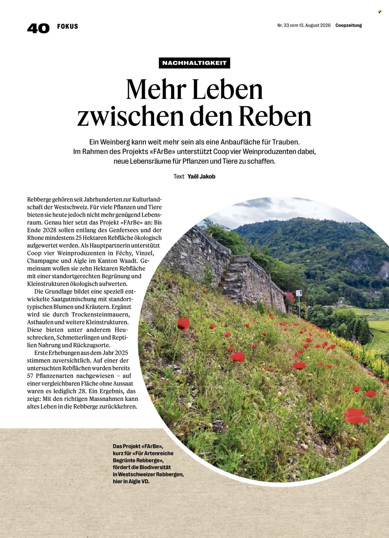 Catalogue Coop - 13.8.2026 - 19.8.2026. Page 40. Page 40