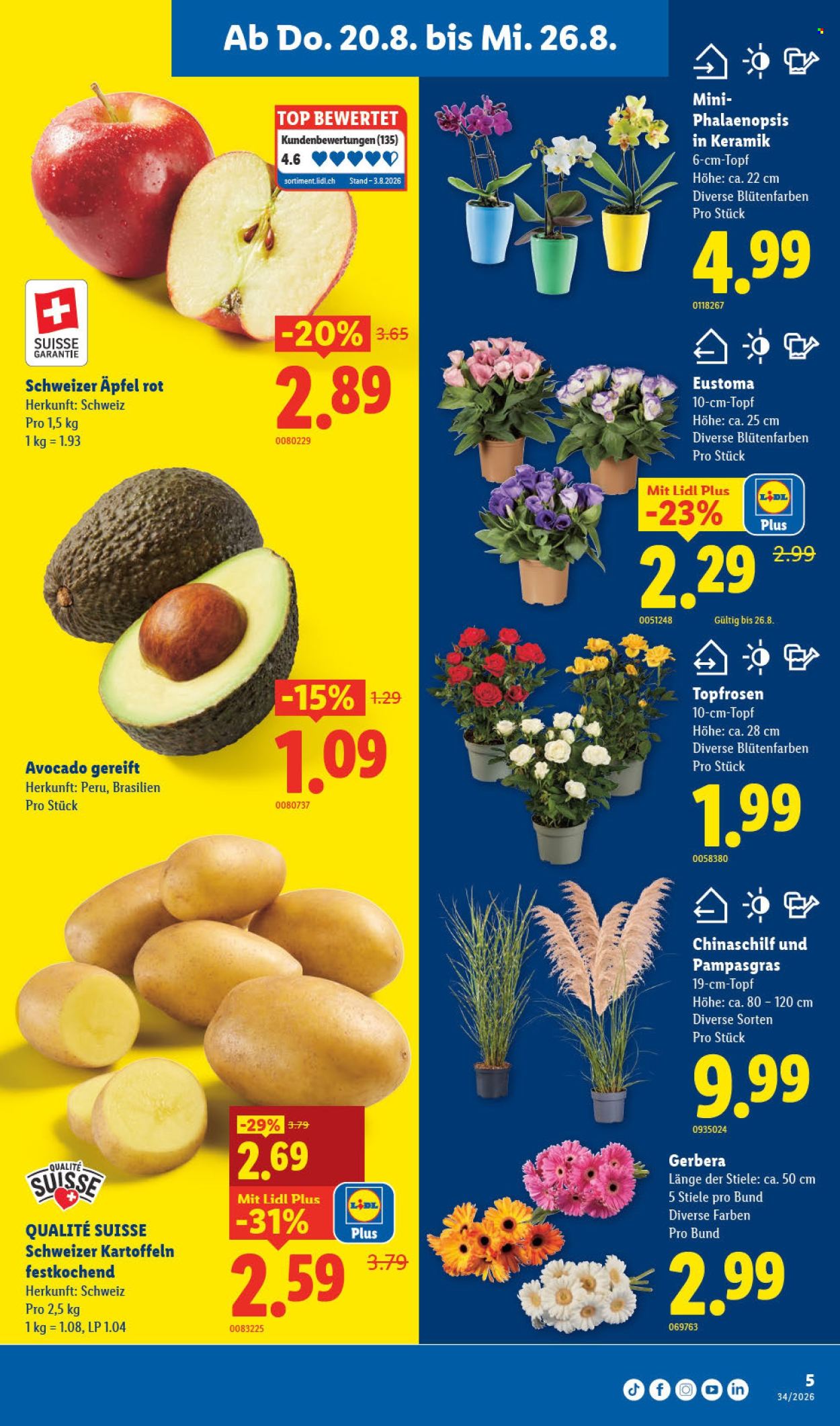 Catalogue Lidl - 20.8.2026 - 26.8.2026. Page 9. Page 9