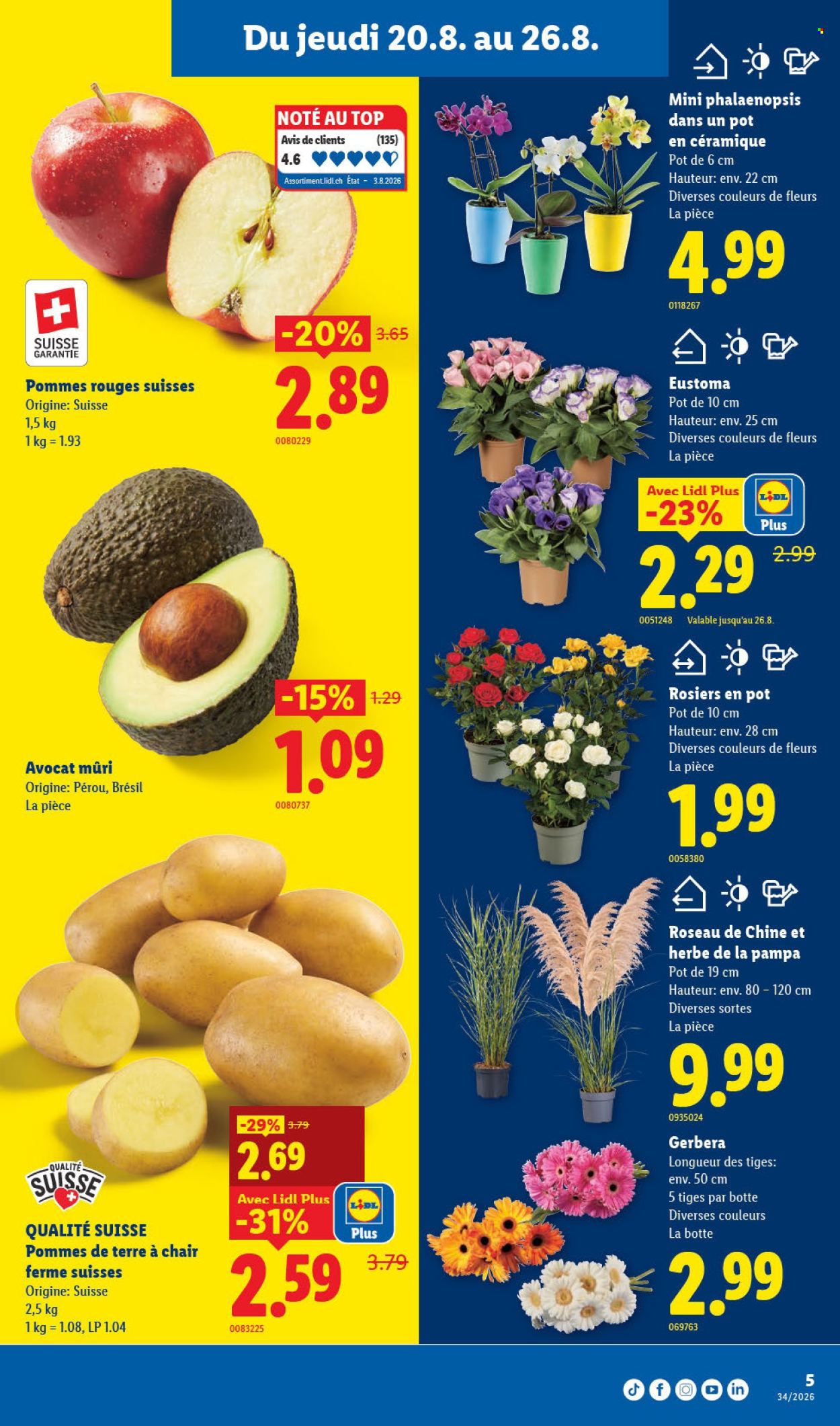 Catalogue Lidl - 20.8.2026 - 26.8.2026. Page 9. Page 9