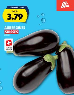 AUBERGINES SUISSES