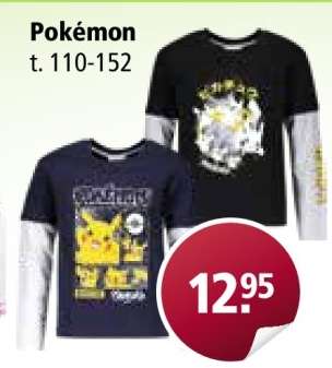 POKÉMON