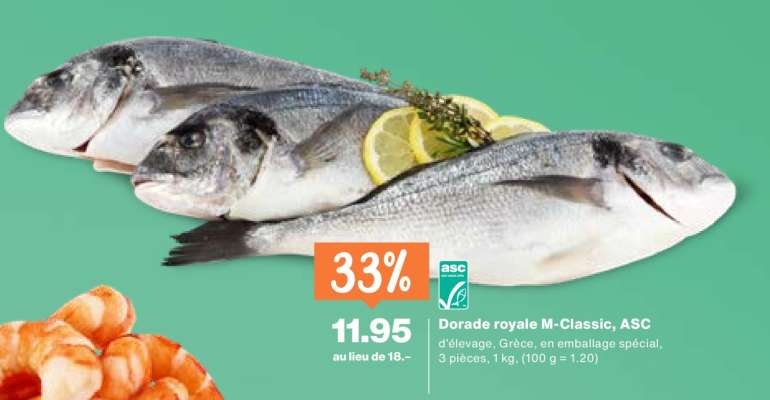 Dorade royale M-Classic, ASC