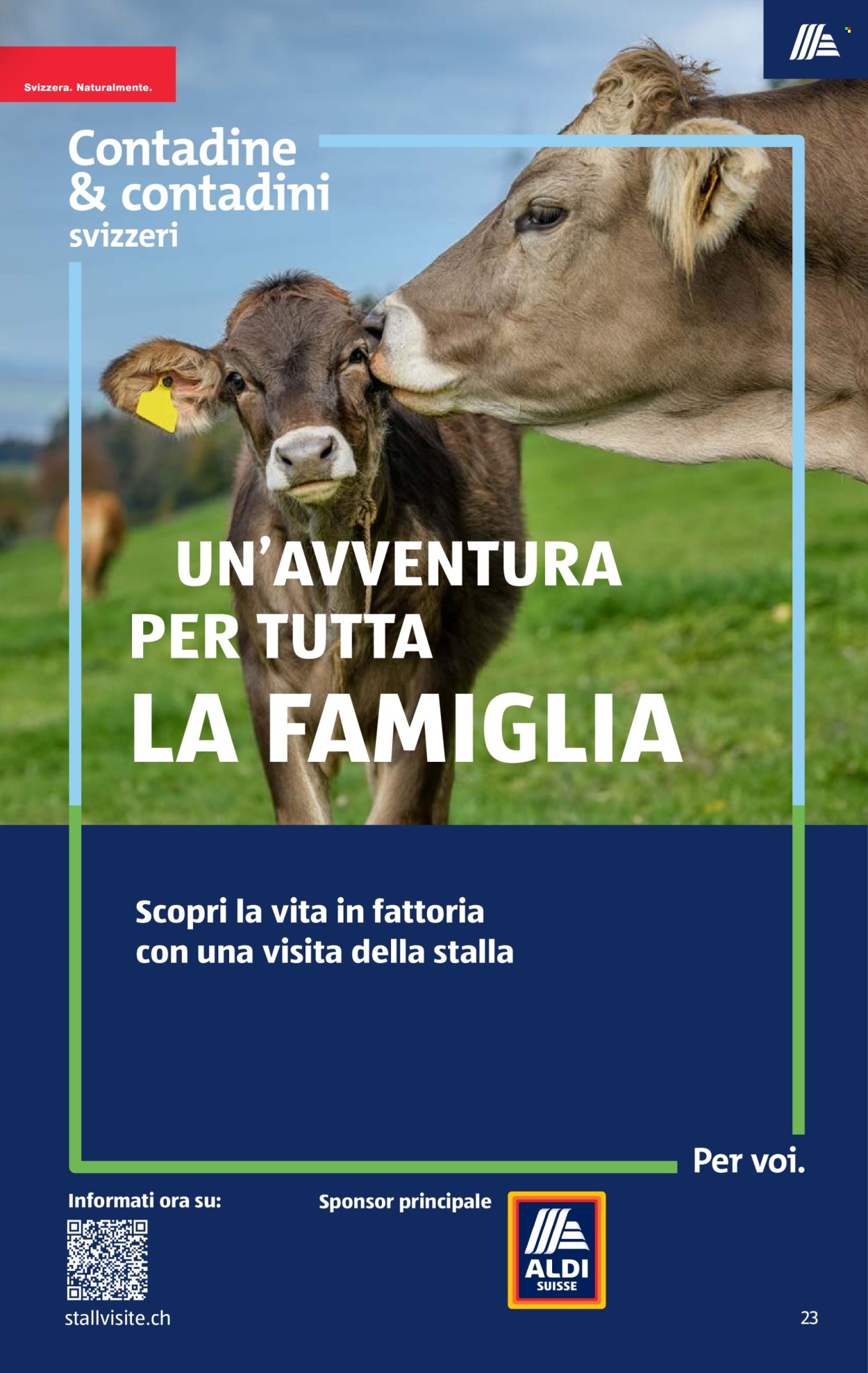 Catalogue Aldi - 3.9.2026 - 9.9.2026. Page 23. Page 23