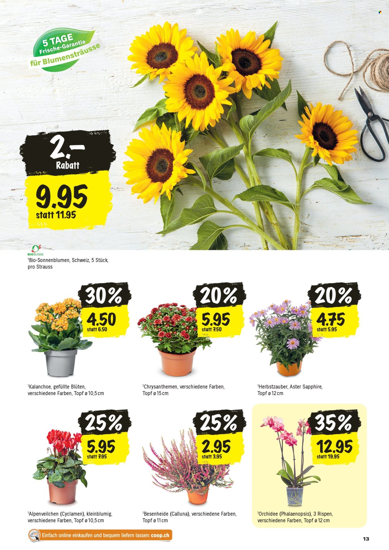 Catalogue Coop - 27.8.2026 - 2.9.2026. Page 13. Page 13
