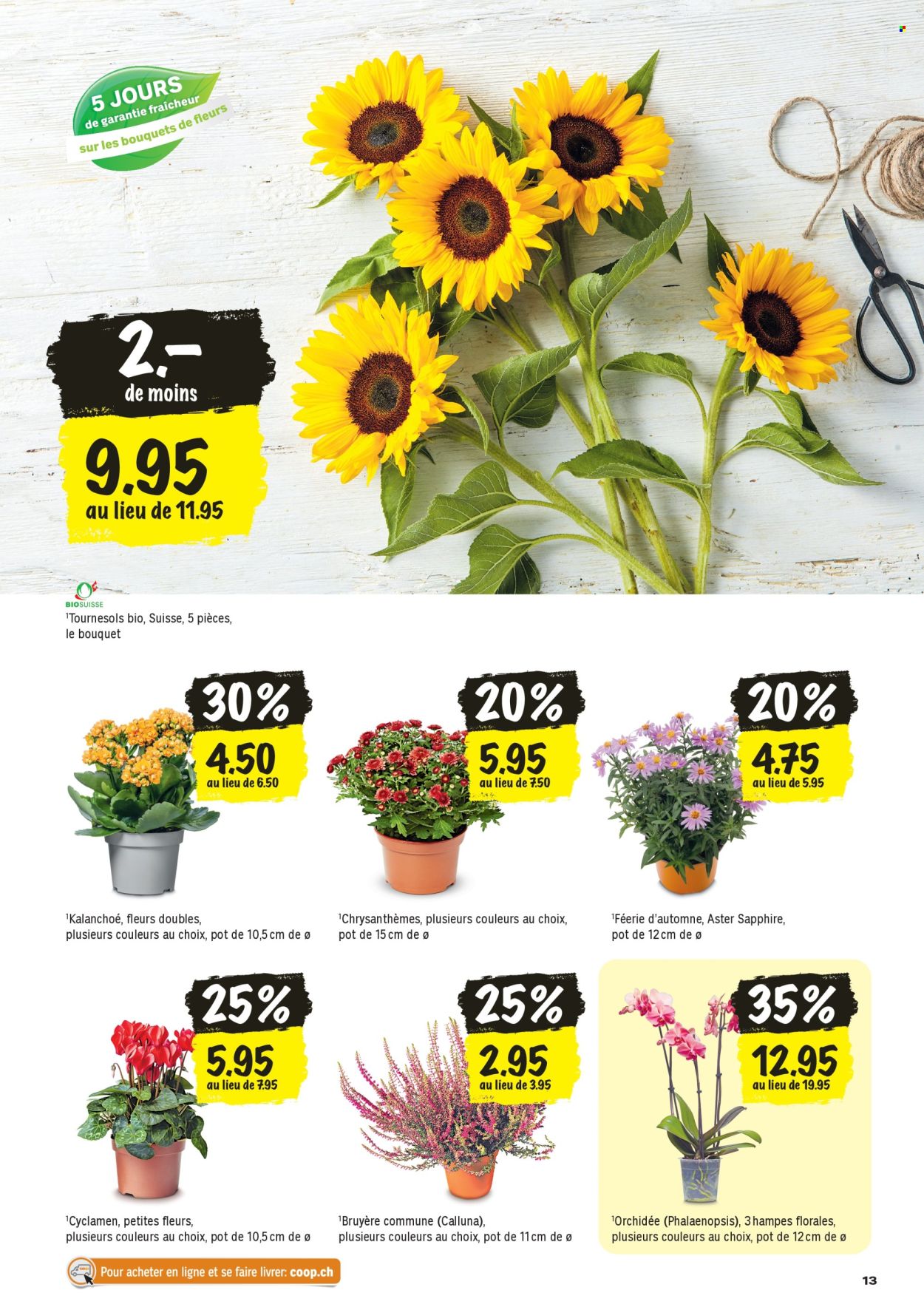 Catalogue Coop - 27.8.2026 - 2.9.2026. Page 13. Page 13