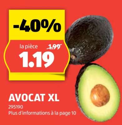AVOCAT XL