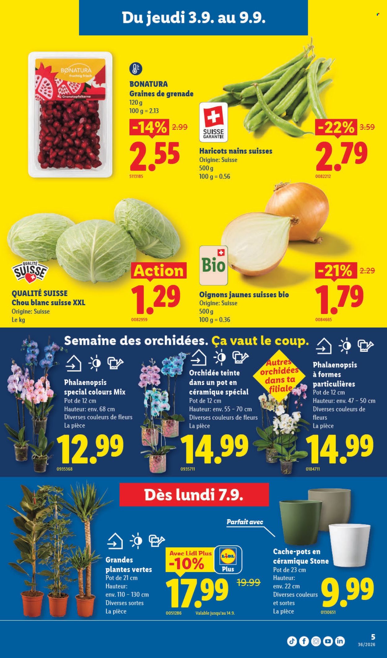 Catalogue Lidl - 3.9.2026 - 9.9.2026. Page 9. Page 9