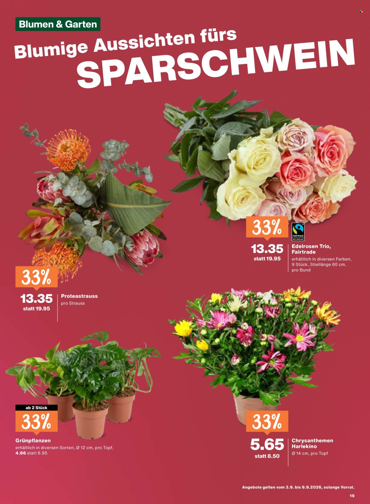 Catalogue Migros - 3.9.2026 - 9.9.2026. Page 19. Page 19