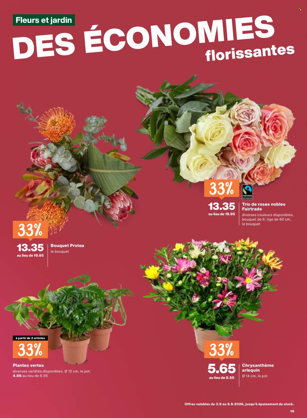 Catalogue Migros - 3.9.2026 - 9.9.2026. Page 19. Page 19