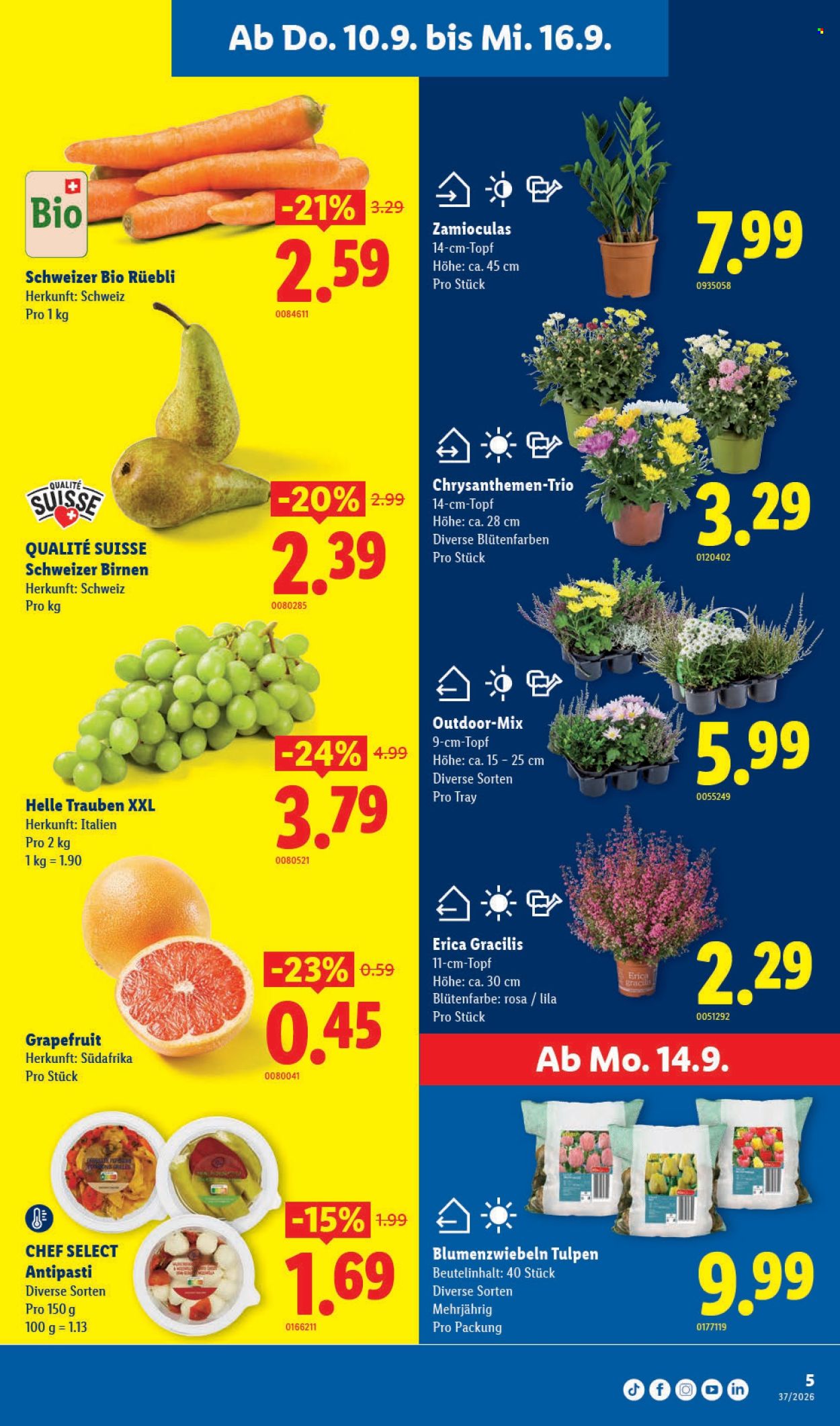 Catalogue Lidl - 10.9.2026 - 16.9.2026. Page 5. Page 5
