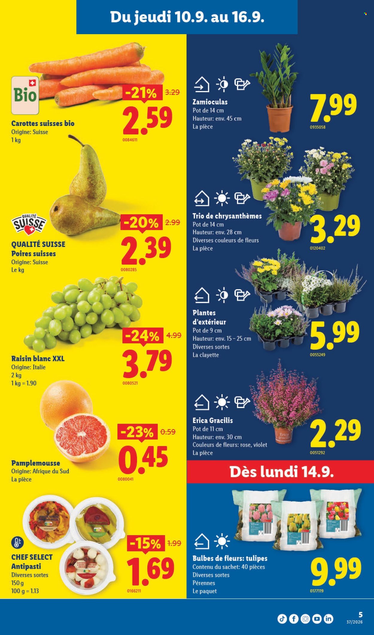 Catalogue Lidl - 10.9.2026 - 16.9.2026. Page 5. Page 5