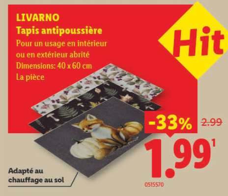 LIVARNO Tapis antipoussière