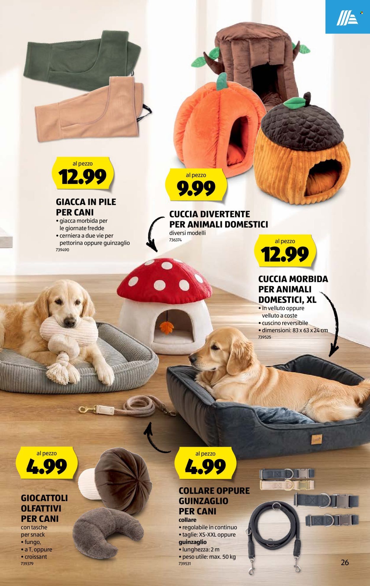 Catalogue Aldi - 17.9.2026 - 23.9.2026. Page 17. Page 17
