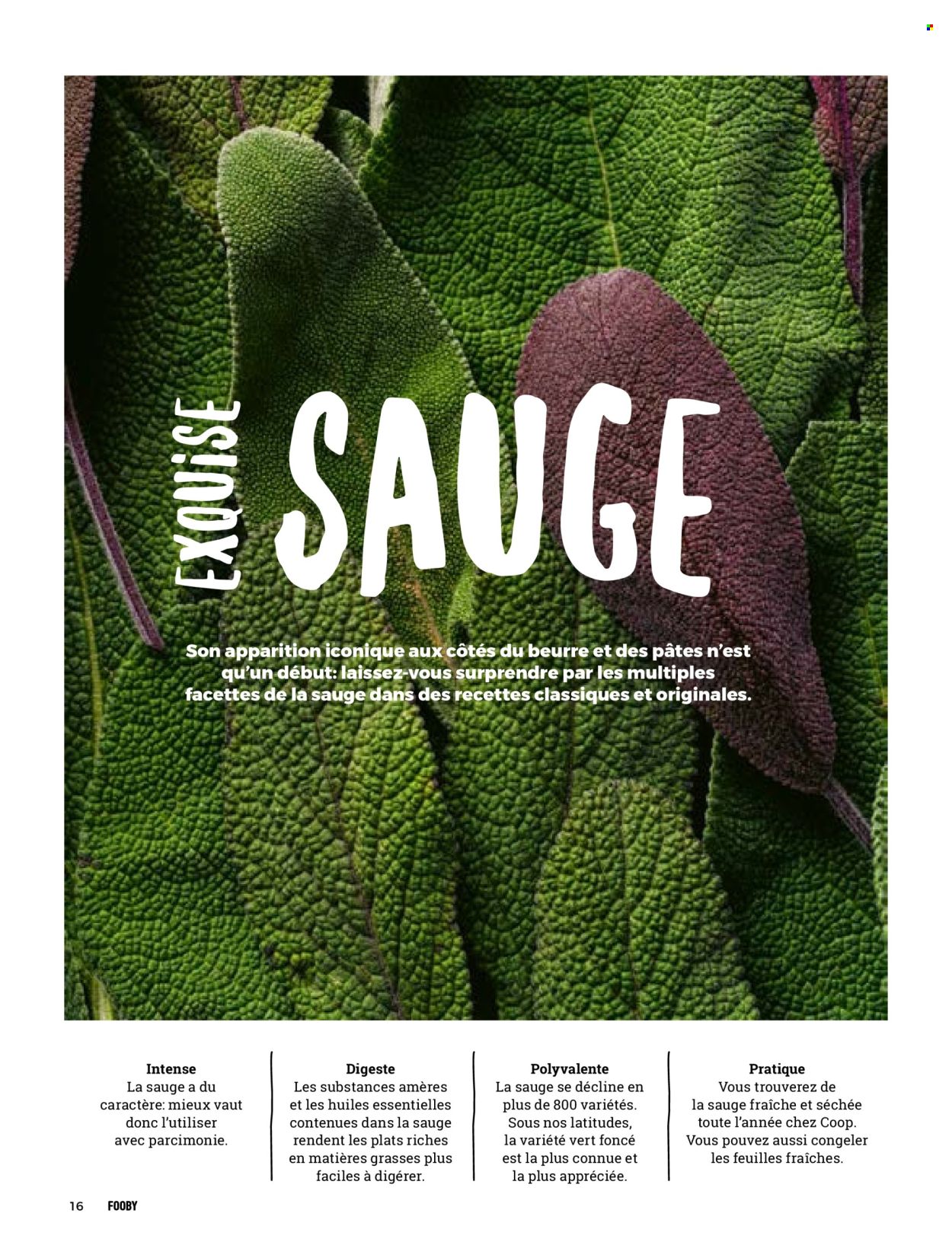 Catalogue Coop. Page 18. Page 18