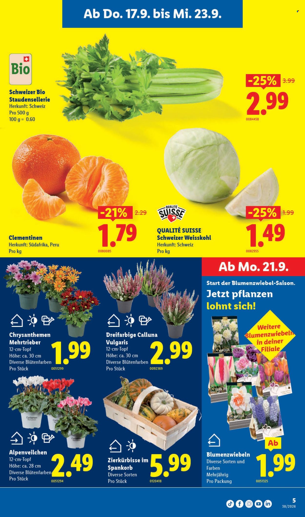Catalogue Lidl - 17.9.2026 - 23.9.2026. Page 5. Page 5