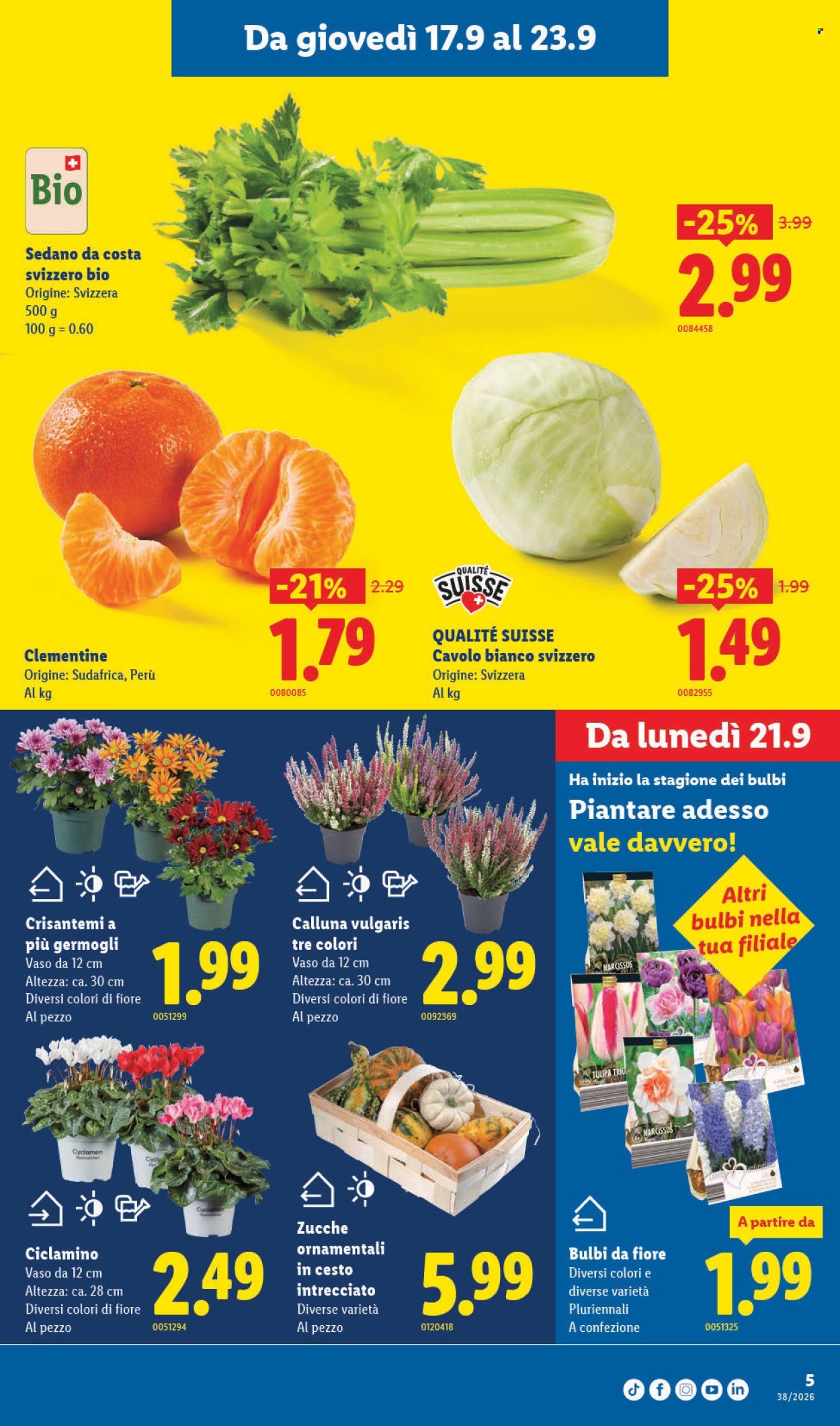 Catalogue Lidl - 17.9.2026 - 23.9.2026. Page 5. Page 5