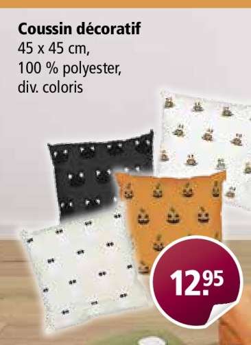 Coussin décoratif