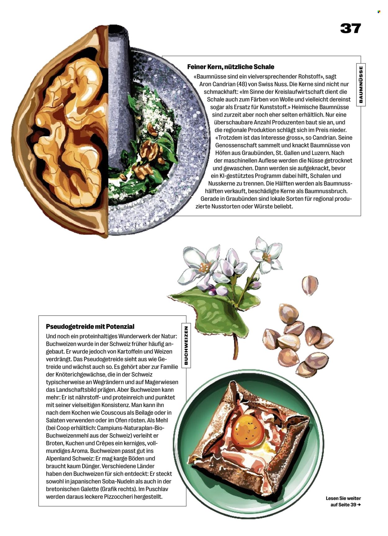 Catalogue Coop - 17.9.2026 - 23.9.2026. Page 37. Page 37