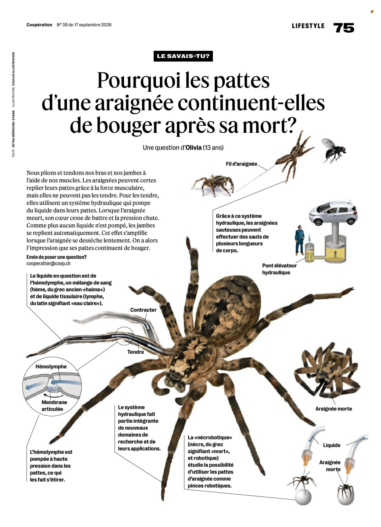 Catalogue Coop - 17.9.2026 - 23.9.2026. Page 75. Page 75