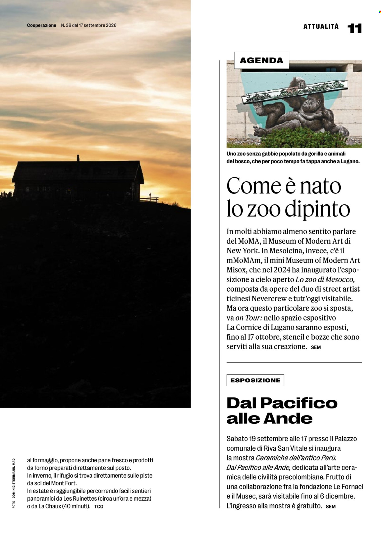 Catalogue Coop - 17.9.2026 - 23.9.2026. Page 11. Page 11