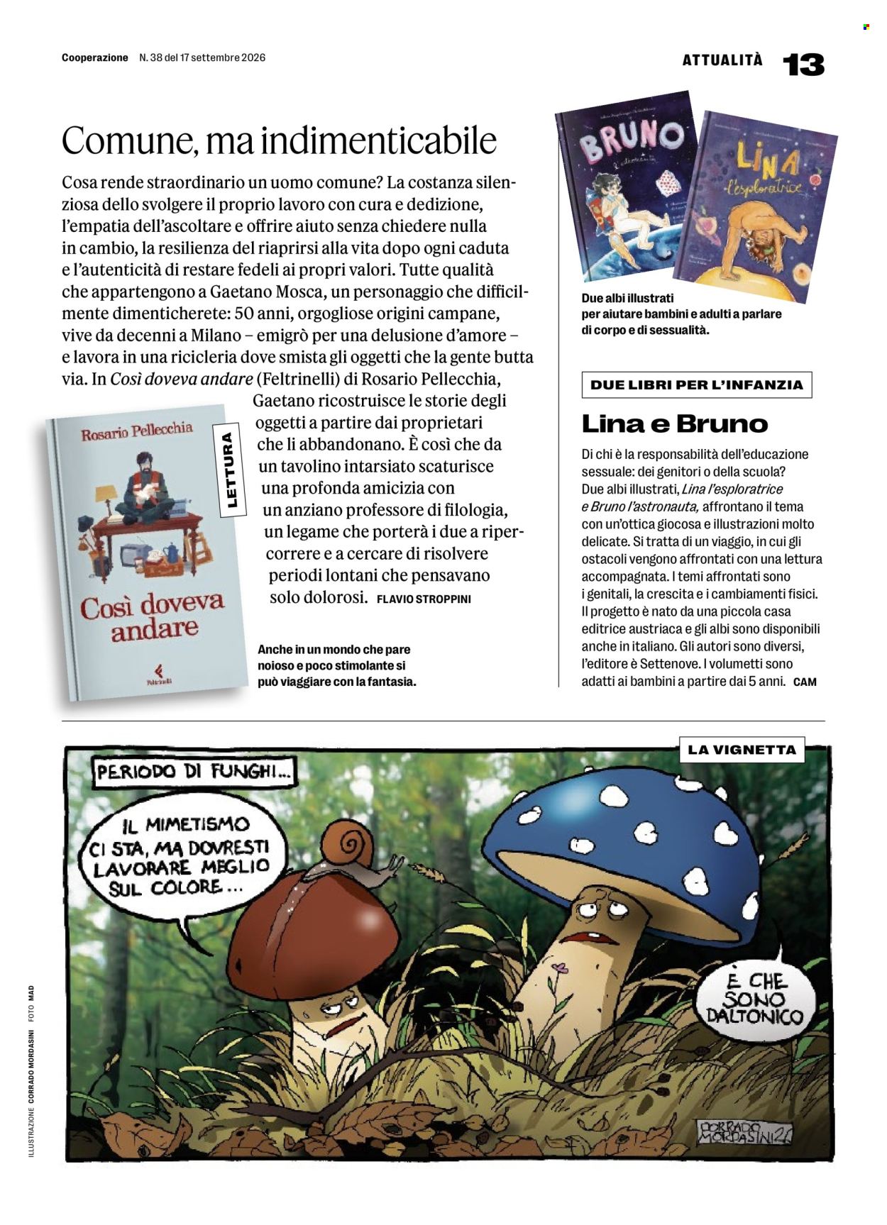 Catalogue Coop - 17.9.2026 - 23.9.2026. Page 13. Page 13