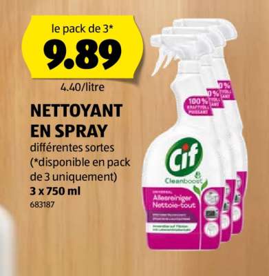 NETTOYANT EN SPRAY