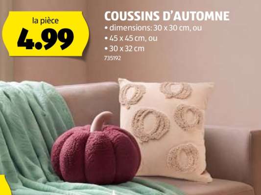 COUSSINS D’AUTOMNE