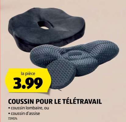 COUSSIN POUR LE TÉLÉTRAVAIL