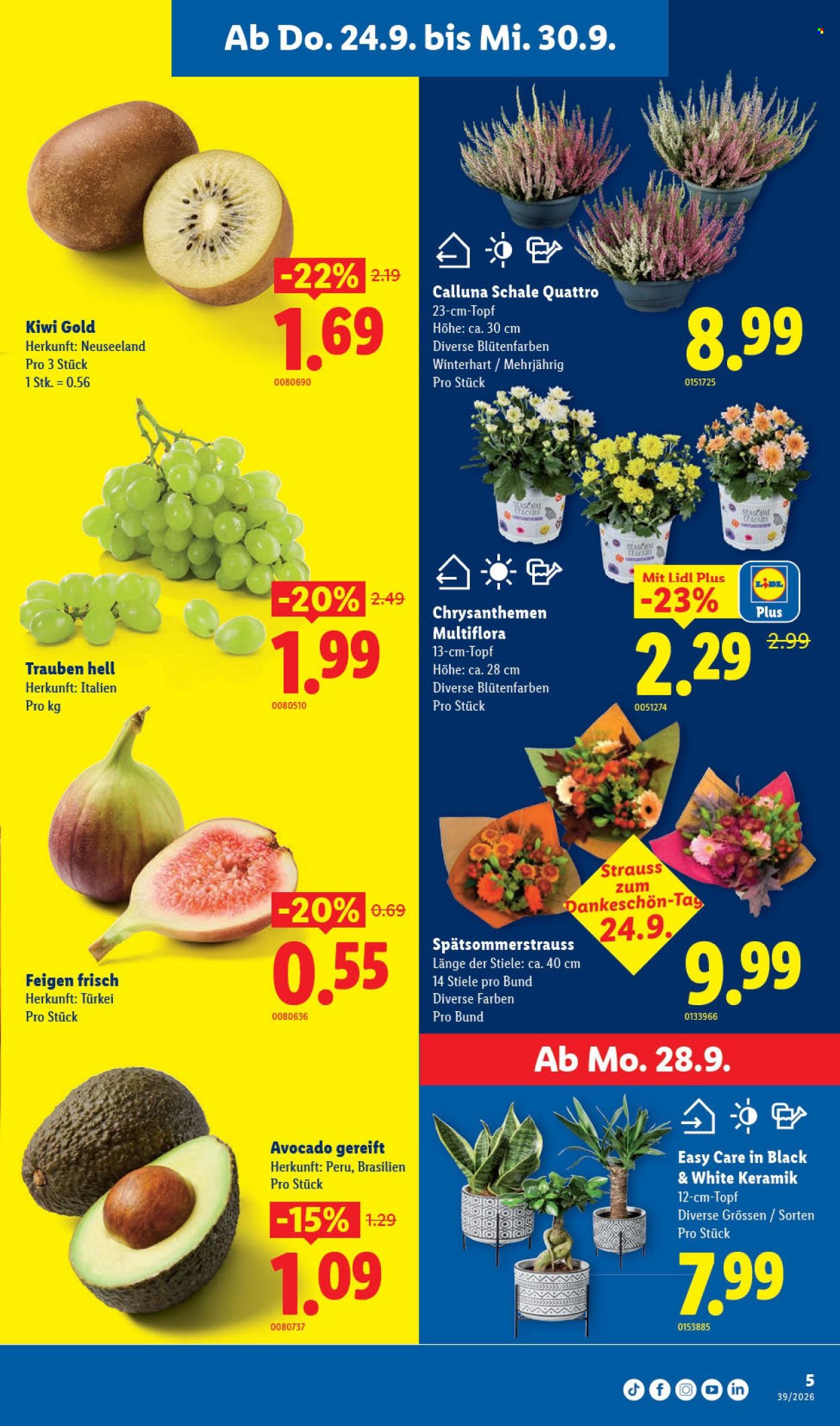 Catalogue Lidl - 24.9.2026 - 30.9.2026. Page 5. Page 5
