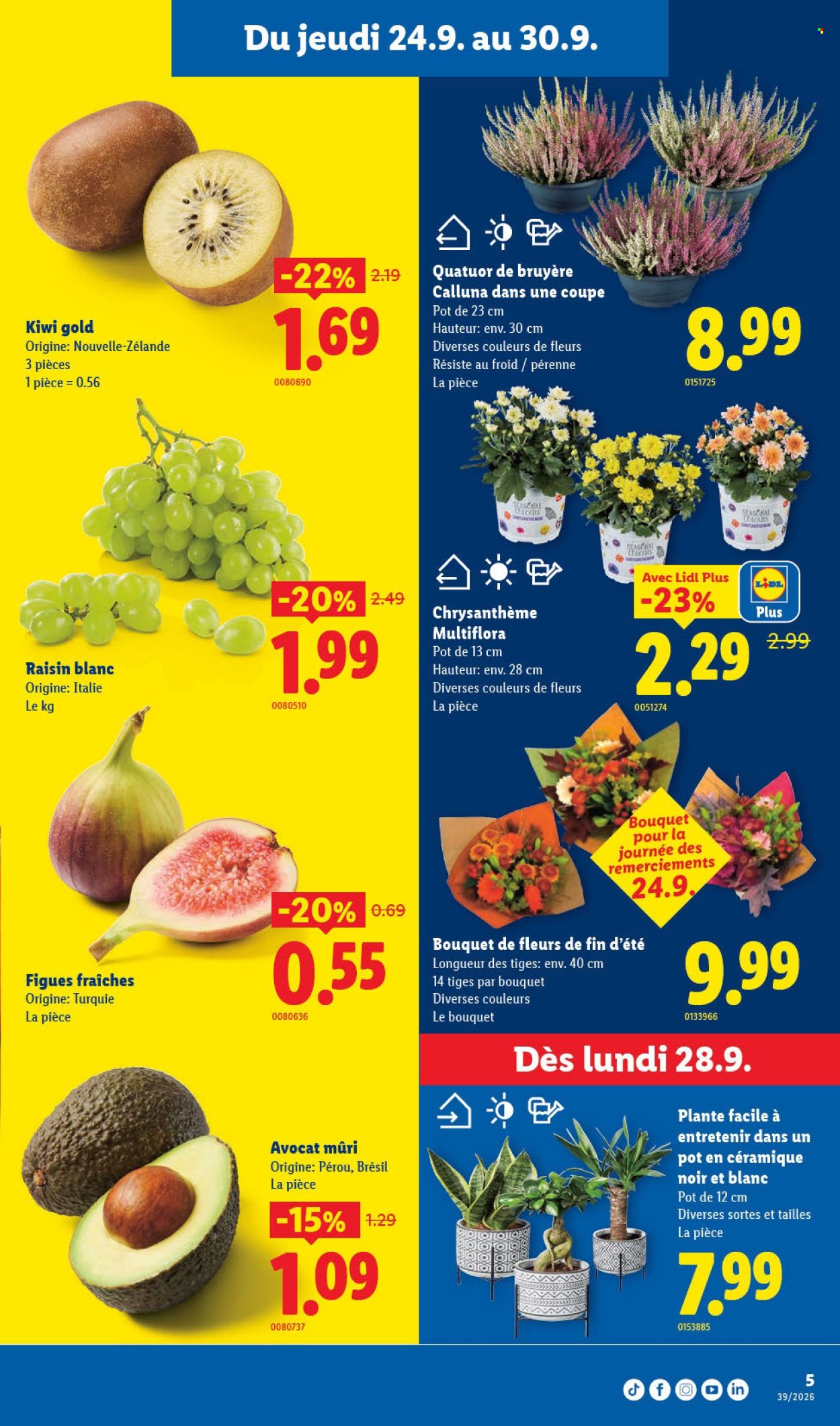 Catalogue Lidl - 24.9.2026 - 30.9.2026. Page 5. Page 5