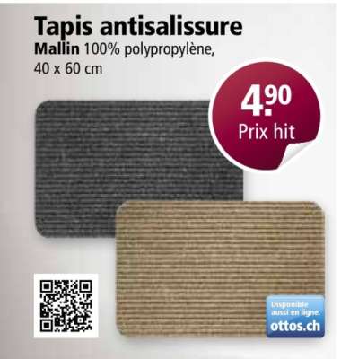Tapis antisalissure
