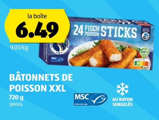 BÂTONNETS DE POISSON XXL