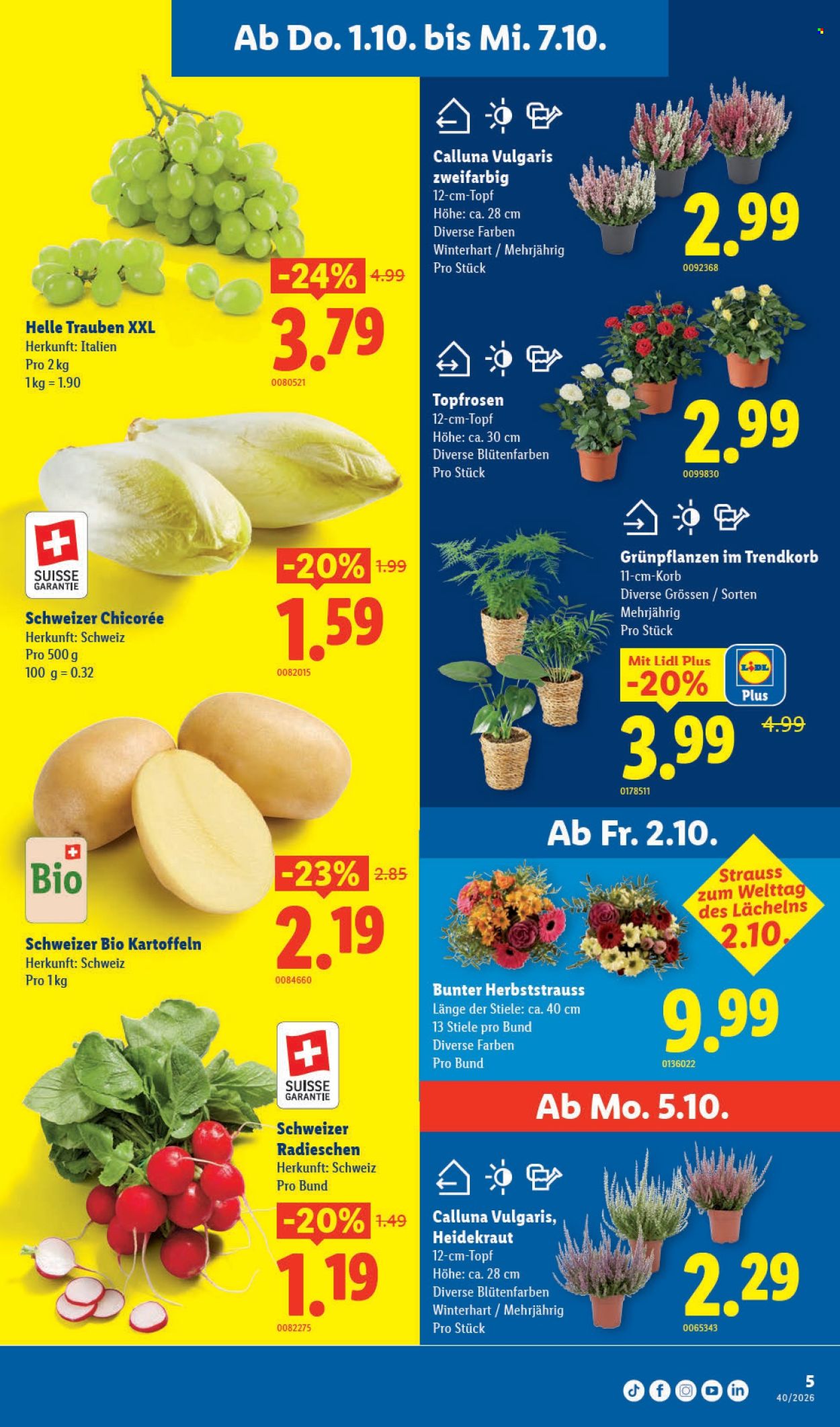 Catalogue Lidl - 1.10.2026 - 7.10.2026. Page 5. Page 5