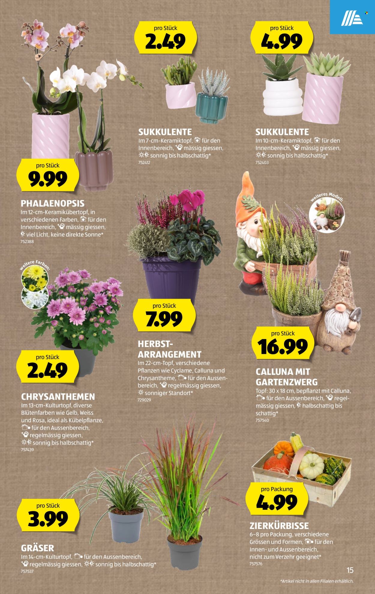 Catalogue Aldi - 8.10.2026 - 14.10.2026. Page 15. Page 15